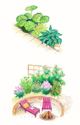 Garten Details für "Mein Schöner Garten" - Aquarell - Illustrationen Doris Maria Weigl / Landschaft