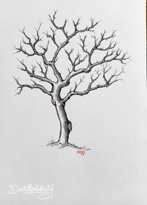 Baum mit Tusche - Doris Maria Weigl - Illustrationen