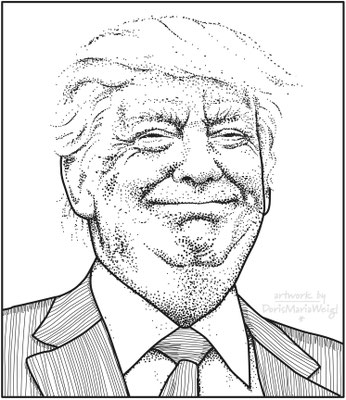 Donald Trump - Vektorgrafik - Illustrationen Doris Maria Weigl / Portrait
