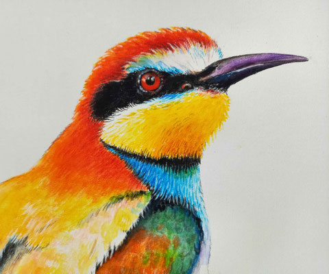 Bienenfresser - Acryl auf Leinen -  Doris Maria Weigl -Illustrationen