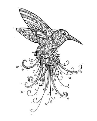 Kolibri - Malbuch Farbenzeit - Vektorgrafik - Illustrationen Doris Maria Weigl / Malbuch