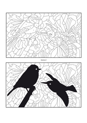 Suchbild Vogel - Vektorgrafik - Illustrationen Doris Maria Weigl / Kinderbuch