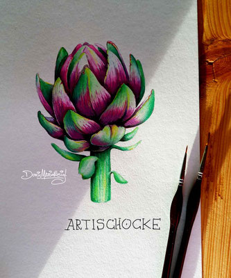 Artischocke - Aquarell - Illustrationen Doris Maria Weigl / Pflanzen