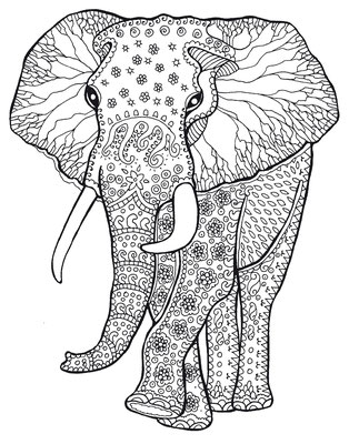 Illustrationen Doris Maria Weigl / Elefant Malbuch Farbenzeit - Vektorgrafik