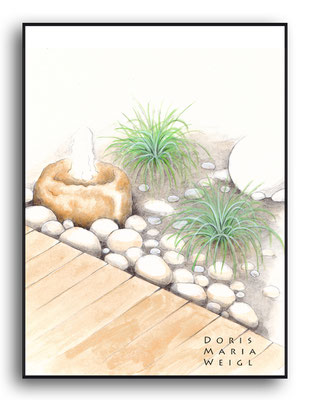 Gartendetail Burda Magazin "Mein Schöner Garten"  Aquarell - Illustrationen Doris Maria Weigl / Pflanzen
