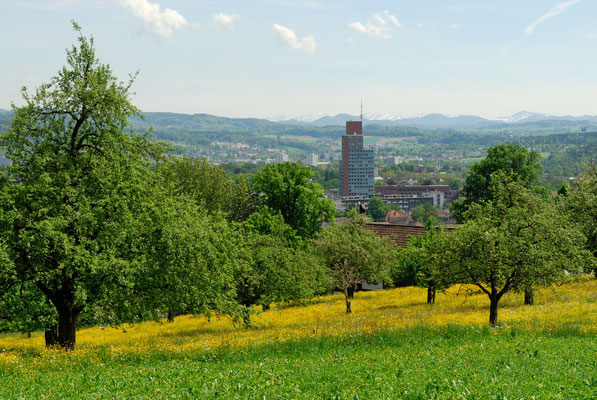 Rosenberg Winterthur