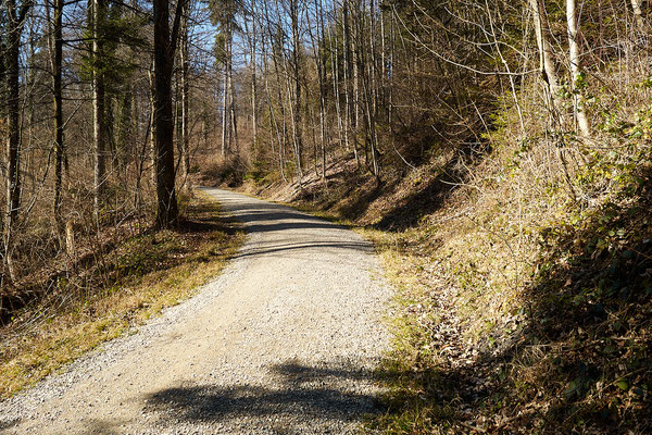 Rundweg Winterthur, Etappe Steig
