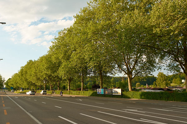 Rosenberg, Schaffhauserstrasse stadtauswärts