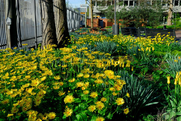 Frühling in der Gartenstadt Winterthur