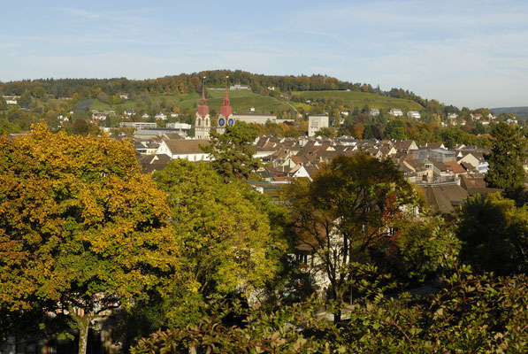 Blick auf die Altstadt vom Rosengarten