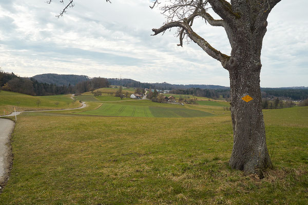 Rundweg Winterthur, Etappe Sässel