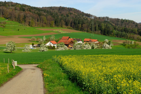 Frühling in der Gartenstadt Winterthur