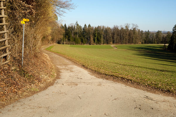 Rundweg Winterthur, Etappe Mörsburg