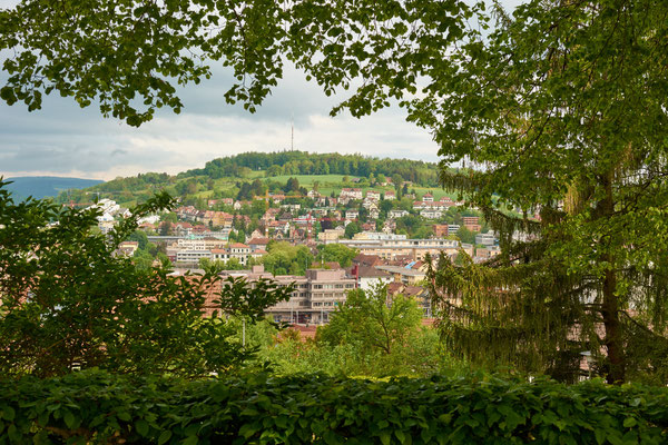 Frühling in der Gartenstadt Winterthur