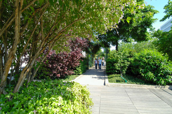 Auf der Promenade plantée oder Coulée verte René-Dumont