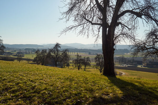 Rundweg Winterthur, Etappe Mörsburg