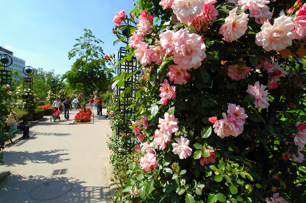 Auf der Promenade plantée oder Coulée verte René-Dumont