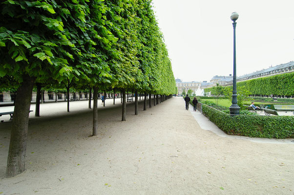 Jardin des Tuileries