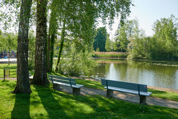 Rosenberg Winterthur, Schützenweiher