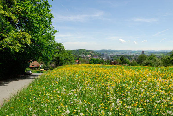 Frühling in der Gartenstadt Winterthur