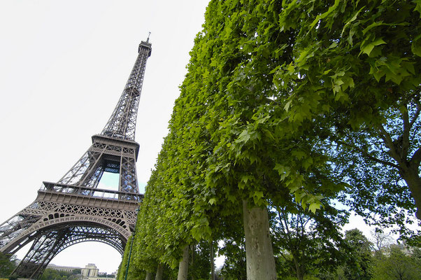 Parc du Champ de Mars