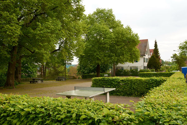 Frühling in der Gartenstadt Winterthur