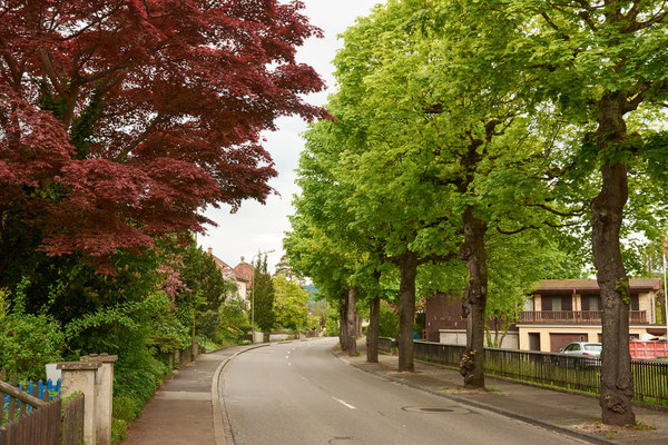 Frühling in der Gartenstadt Winterthur