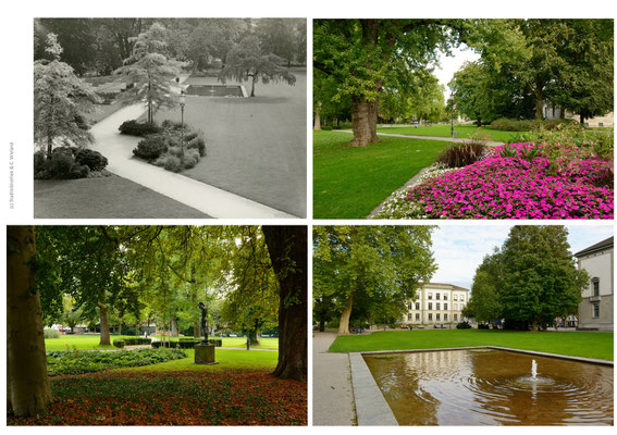 Eine Gartenanlage verändert sich über die Jahre gewollt oder ungewollt. Die Nutzung und die Pflege haben einen grossen Einfluss Bilder von 1958 und 2013 belegen dies.