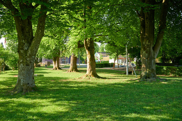 Rosenberg Winterthur, Schule Schachen