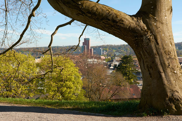 Frühling in der Gartenstadt Winterthur