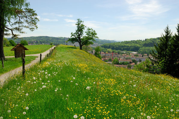 Rosenberg Winterthur, Güetli