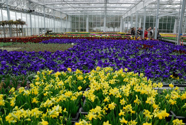 Frühling in der Gartenstadt Winterthur