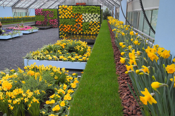 Frühling in der Gartenstadt Winterthur