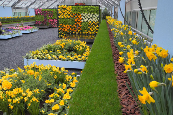 Frühling in der Gartenstadt Winterthur