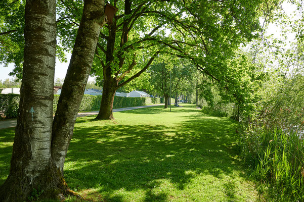 Rosenberg Winterthur, Schützenweiher