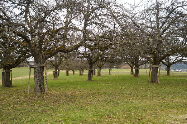 Rundweg Winterthur, Etappe Hegiberg