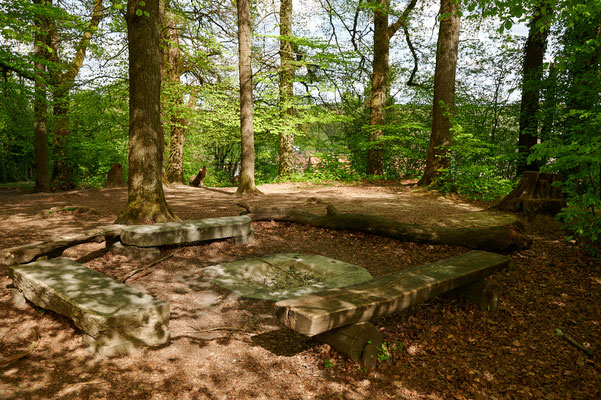 Rosenberg Winterthur, Güetli