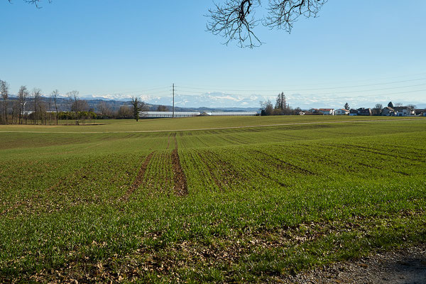 Rundweg Winterthur, Etappe Steig