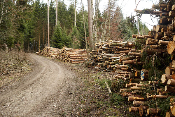 Rundweg Winterthur, Etappe Hulmen