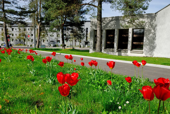 Frühling in der Gartenstadt Winterthur