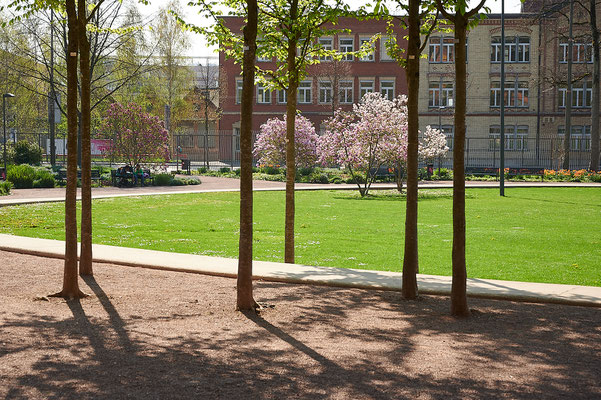 Frühling in der Gartenstadt Winterthur