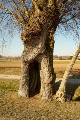 Rundweg Winterthur, Etappe Hegmatten