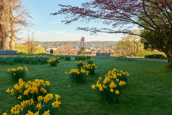 Frühling in der Gartenstadt Winterthur