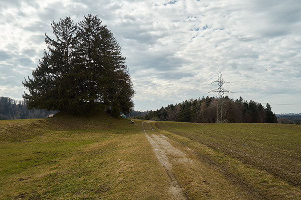 Rundweg Winterthur, Etappe Sässel