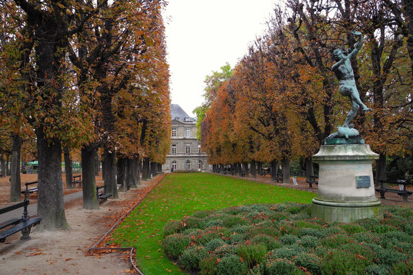 Herbst im Jardin du Luxembourg