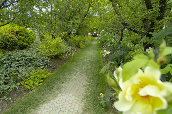 Parc André Citroën