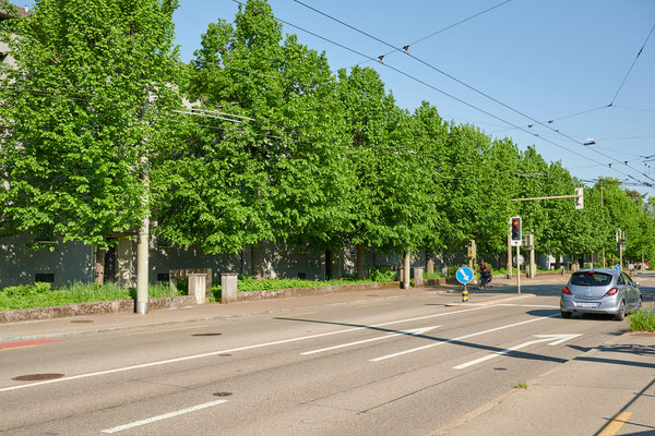 Rosenberg, Schaffhauserstrasse stadtauswärts