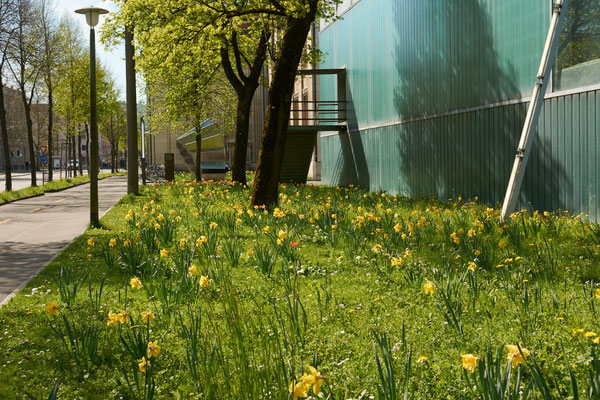 Frühling in der Gartenstadt Winterthur