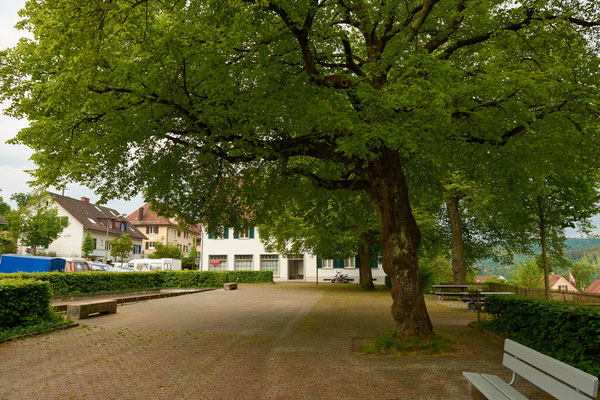 Frühling in der Gartenstadt Winterthur