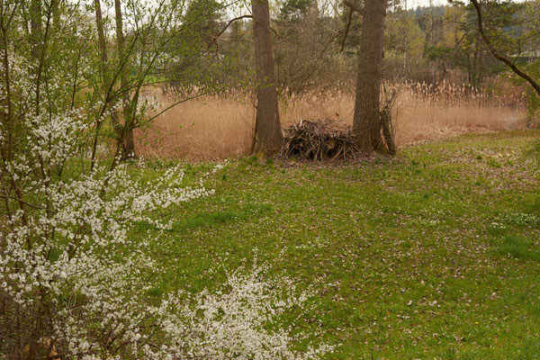 Frühling in der Gartenstadt Winterthur